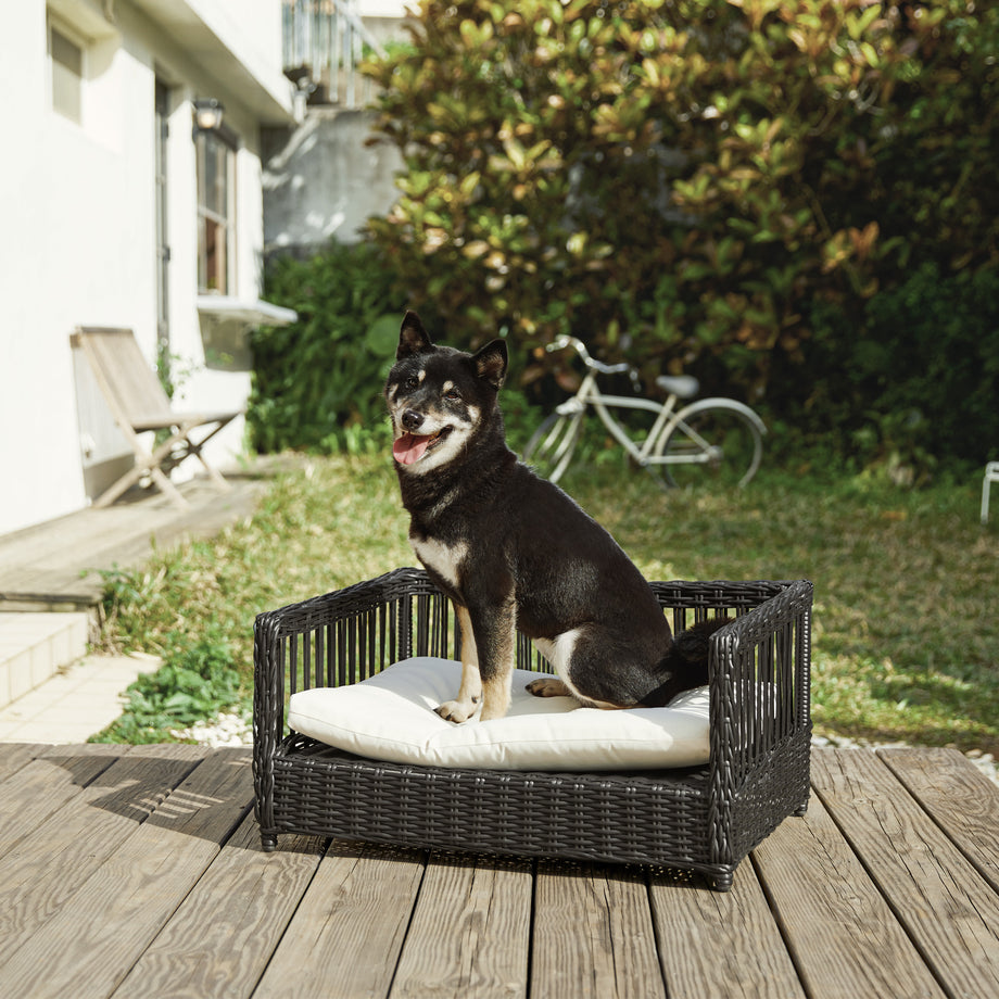 Kodu rattan store pet bed